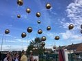 IMG_6466.jpeg