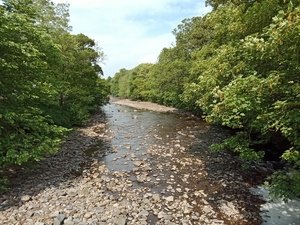 IMG_20250612_102718014.jpg