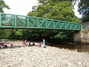 IMG_20250612_103216013.jpg