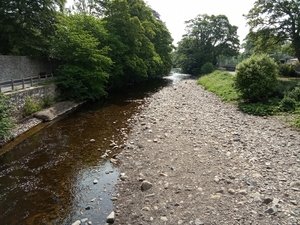 IMG_20250612_102724485.jpg