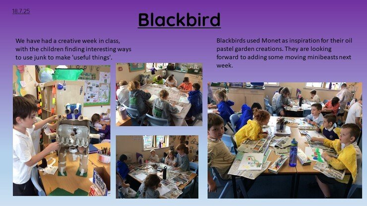 Blackbirds 18.7.25 1.jpg