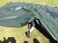 IMG_8438.JPG