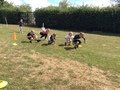 IMG_8447.JPG