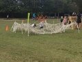 IMG_8488.JPG