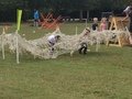 IMG_8489.JPG