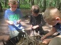 IMG_3668.JPG
