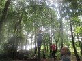 IMG_3721.JPG