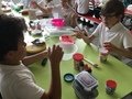 IMG_1259.JPG