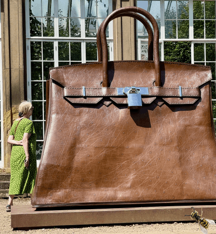 Front page Wasp on handbag July 25