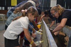 Y2 Londown Visit (2036).JPG