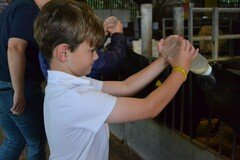 Y2 Londown Visit (2048).JPG