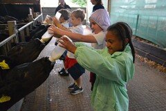 Y2 Londown Visit (2051).JPG