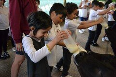 Y2 Londown Visit (2060).JPG