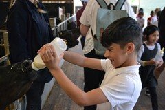Y2 Londown Visit (2063).JPG