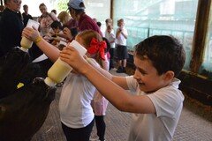 Y2 Londown Visit (2064).JPG