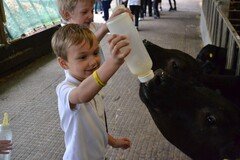 Y2 Londown Visit (2069).JPG