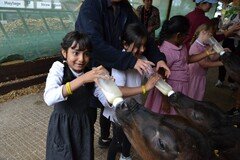 Y2 Londown Visit (2070).JPG