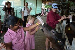 Y2 Londown Visit (2073).JPG