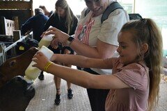 Y2 Londown Visit (2074).JPG