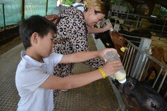 Y2 Londown Visit (2075).JPG