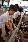 Y2 Londown Visit (2094).JPG