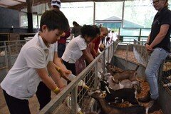Y2 Londown Visit (2095).JPG