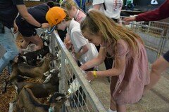 Y2 Londown Visit (2096).JPG
