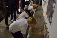 Y2 Londown Visit (2099).JPG