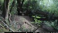 Tawny Owl Landing © 2025 by Montrose School is licensed under CC BY 4.0