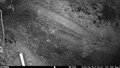 Two Badgers © 2025 by Montrose School is licensed under CC BY 4.0