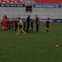 IMG_1019.jpg