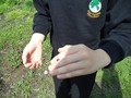 DSC00174.JPG