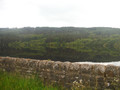 DSCF1230.JPG
