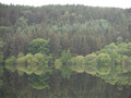 DSCF1231.JPG