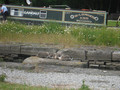 DSCF1294.JPG
