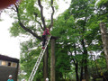 DSCF1345.JPG