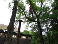 DSCF1346.JPG