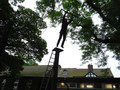 DSCF1350.JPG