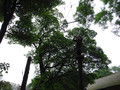 DSCF1352.JPG