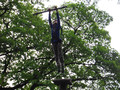 DSCF1353.JPG