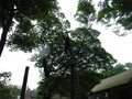 DSCF1354.JPG