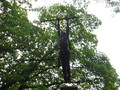 DSCF1357.JPG