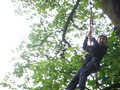 DSCF1366.JPG