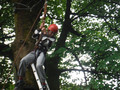 DSCF1372.JPG