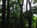DSCF1379.JPG