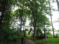 DSCF1380.JPG