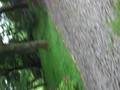 DSCF0560.JPG