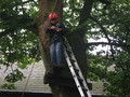 DSCF0562.JPG
