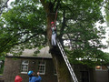 DSCF0564.JPG