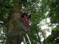 DSCF0567.JPG